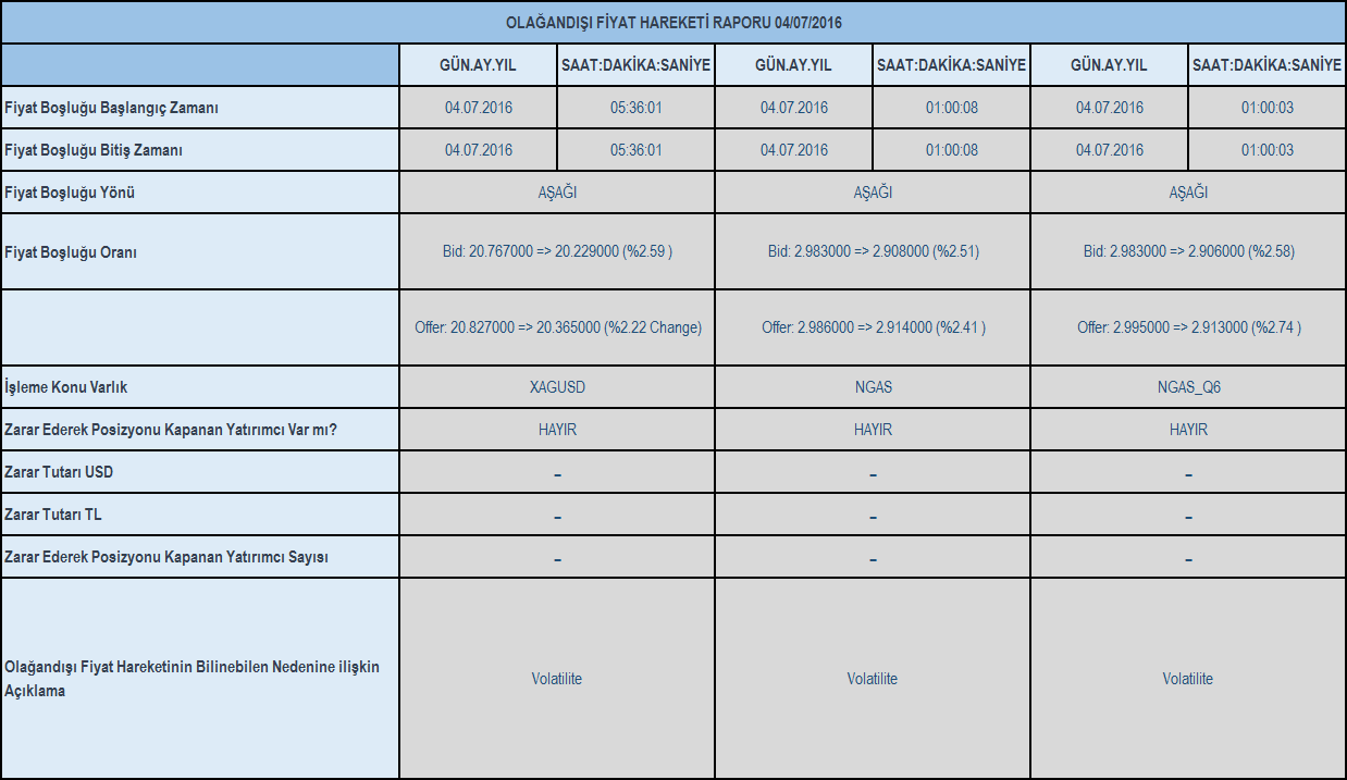 Olağandışı fiyat hareketi raporu 04/07/2016