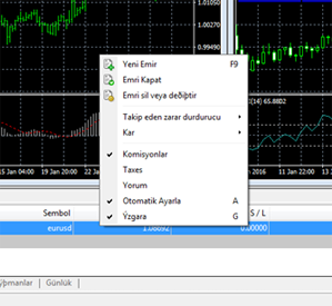 Web Trader 4 Kurulum