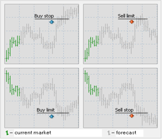 Web Trader 4 Kurulum